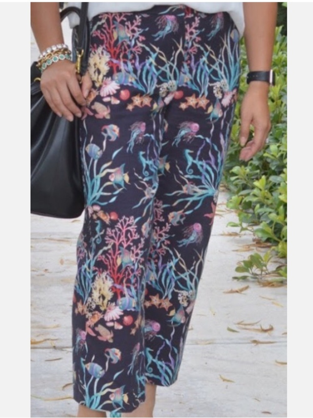 J. Crew Black Cropped Pants with Multicolor Coral & Jellyfish Print